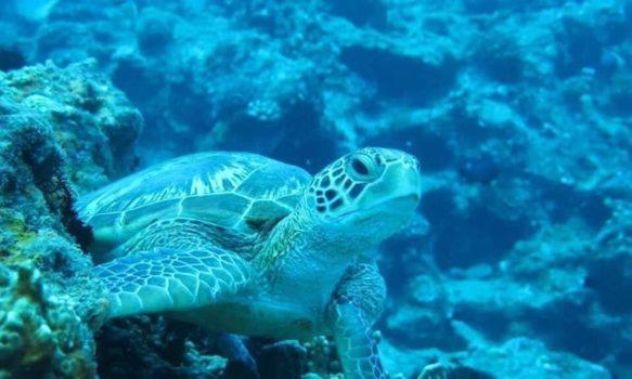 小琉球福緣白龍宮海景アパートメント エクステリア 写真